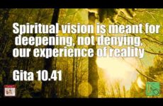 Spiritual vision is meant for deepening, not denying, our experience of reality Gita 10.41